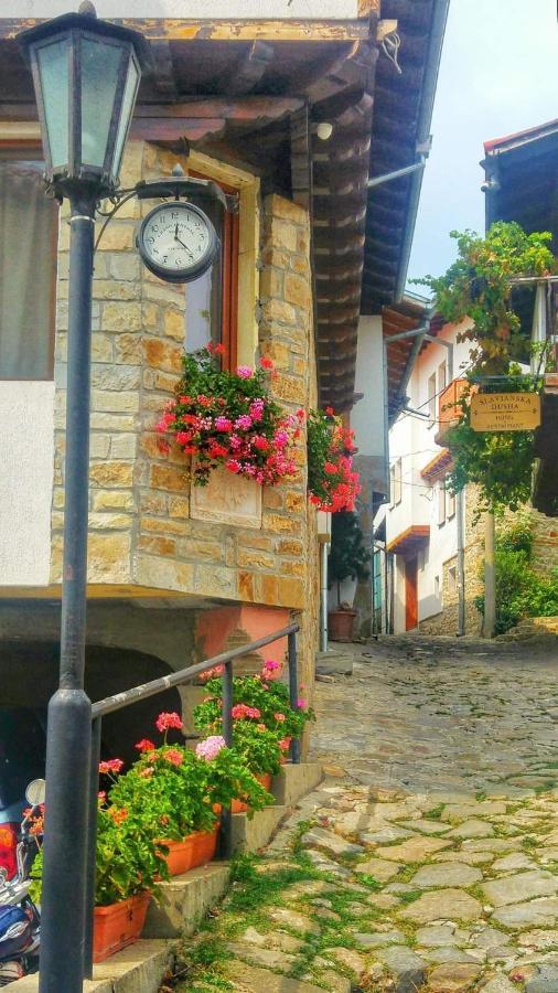Family Hotel "Slavianska Dusha" Veliko Tărnovo Exterior foto